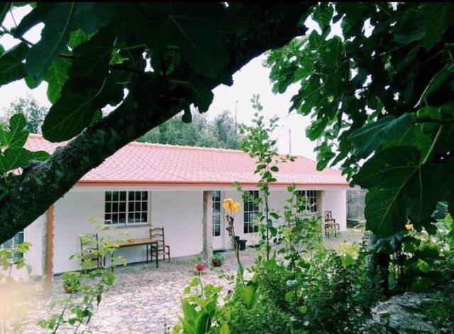 فيلا Casa Boavista باريديس دي كورا المظهر الخارجي الصورة
