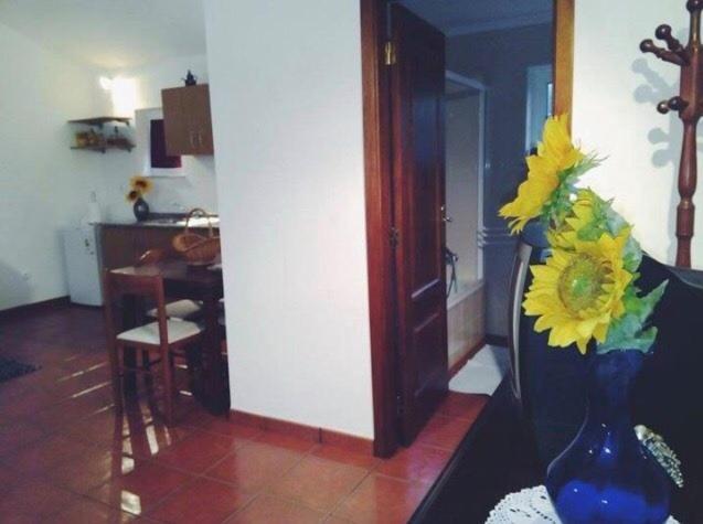 فيلا Casa Boavista باريديس دي كورا المظهر الخارجي الصورة